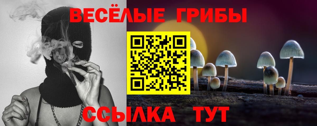 Борисоглебск  Псилоцибиновые грибы Cubensis  Вход с VPN 